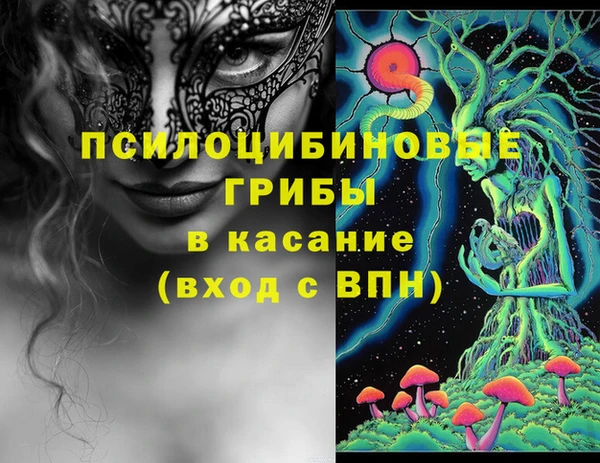 МДПВ Карпинск