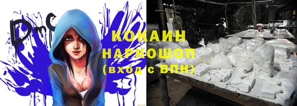 прущие крисы Каменка