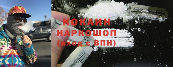 МДПВ Карпинск